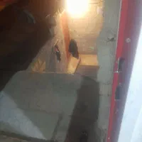 خونه اجاره ای|اجارهٔ خانه و ویلا|دورود, |دیوار