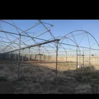 سازه گلخانه فروش فوری