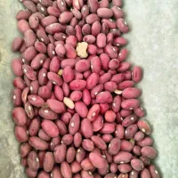 لوبیا قرمز بوجاری شده