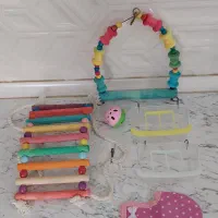 اسباب بازی و خوراکی پرنده