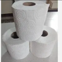 دستمال کاغذی|مواد شوینده و دستمال کاغذی|بروجرد, |دیوار