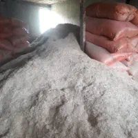 کاه گندم باکیفیت