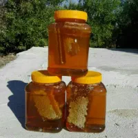 عسل و ژل رویال با کیفیت ، با ضمانت|خوردنی و آشامیدنی|تهران, اتابک|دیوار