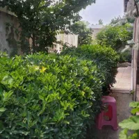 ویلا350مترزمین-بنا130متر-دوبلکس-خمام-روستای-فشتکه