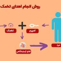 اهدا تخمک