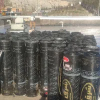 ایزوگام|خدمات پیشه و مهارت|ایلام, |دیوار