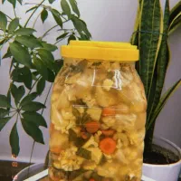 ترشیجات ارگانیک کوهیار|عمدهفروشی|سبزوار, خسروجرد|دیوار