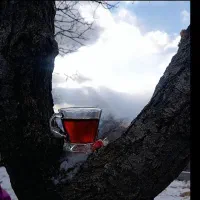 وام ازدواجی