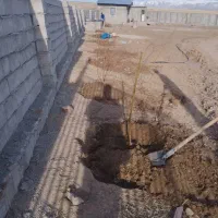 سالن دامداری شخصی سازی شده|فروش دفتر صنعتی، کشاورزی، تجاری|کندوان, |دیوار