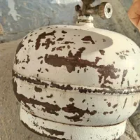 پیک نیک|اجاق گاز و لوازم برقی پختوپز|شیراز, تندگویان|دیوار