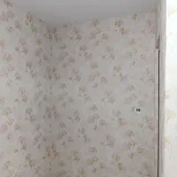 نصاب کاغذ دیواری ونقاشی ساختمان|خدمات پیشه و مهارت|اسلام‌شهر, زرافشان|دیوار