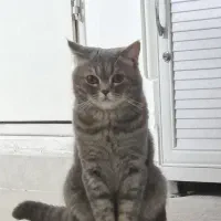 مهمه بخونید خواهشا