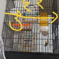 قفس با تمام وسایلش|لوازم جانبی حیوانات|سبزوار, فیاض|دیوار