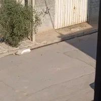 آجاره چهار دیواری ۲۰۰ متری