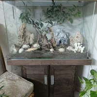 آکواریوم و گل بن سای