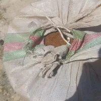 درجه ۱