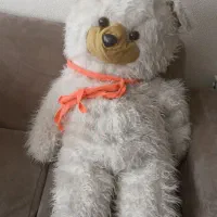 یک عدد خرس بزرگ