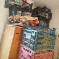 پلاستیک|ظروف نگهدارنده، پلاستیکی، یک‌بارمصرف|فردیس, داوری|دیوار