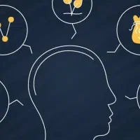 دعوت به همکاری در پروژه دانش بنیان