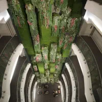 اولین ارائه دهنده هتل بوتیک کیش