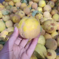 به تازه بوانات|خوردنی و آشامیدنی|شیراز, شهرک صدا و سیما|دیوار