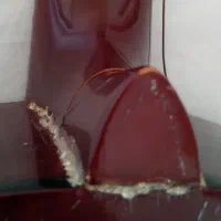 گیتار prince|گیتار، بیس، امپلیفایر|تبریز, |دیوار