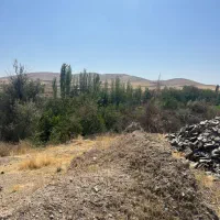 نظافت چی خانم