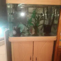 آکواریم خارجی شیشه خم فیلتر سطلی پمپ هوابرقی شارژی