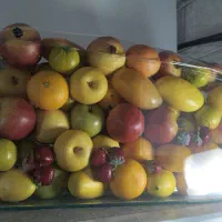 فروش میوه مصنوعی خاجی دست دوم