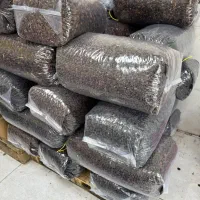 کشمش آفتابی قیمت مناسب