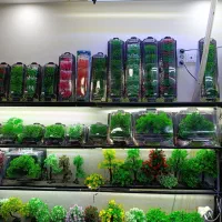 بلو جک دمسی|ماهی|فردیس, قریشی|دیوار