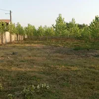 علف زنی  چمن زنی ..با دستگاه|خدمات باغبانی و درختکاری|سنگر, |دیوار