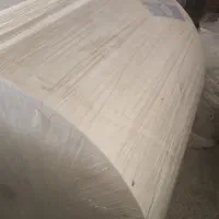 تولید صنعتی دستمال کاغذی اقتصادی و جعبه ای|مواد شوینده و دستمال کاغذی|مشهد, امیریه|دیوار