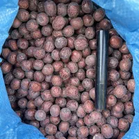 تامین‌کننده انواع عناب مرغوب به ضمانت مرجوعی