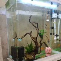 آکواریوم aqua شرکتی شیشه خم با پایه