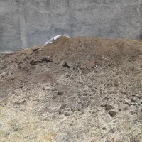 کود حیوانی|خدمات باغبانی و درختکاری|بروجرد, |دیوار