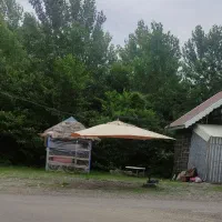 سفرخونه سرمایه ازمن کاربا شما