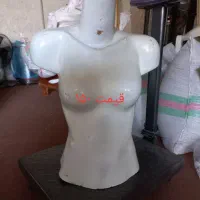 مانکن|فروشگاه و مغازه|کلاله, |دیوار