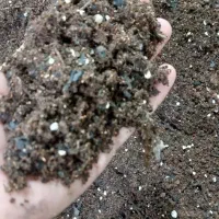 خاک مخصوص گیاهان آپارتمانی و سینی نشا و سبزی جات|گل و گیاه طبیعی|رودسر, |دیوار