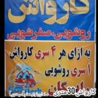 نیروی کار کارواش