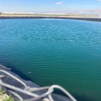 اجاره زمین کشاورزی ۵ هکتاری با ۱/۳ هکتار گلخانه|اجارهٔ دفتر صنعتی، کشاورزی، تجاری|نظرآباد, شهرک صنعتی سپهر|دیوار