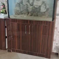 اکواریوم