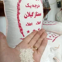 برنج هاشمی درجه یک خالص تالش