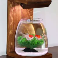 تنگ ماهی|ماهی|تهران, اقدسیه|دیوار