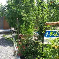 باغ|فروش خانه و ویلا|چناران, |دیوار