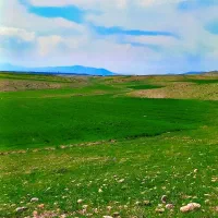 معاوضه زمین با خودرو