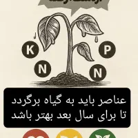 فروت ست سبوسیب(همه کود های شرکت سبو سیب موجود است)|خدمات باغبانی و درختکاری|داراب, |دیوار