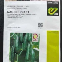 بذر فلفل دلمه ۹۳۲۵و غیره|خدمات باغبانی و درختکاری|شاهین‌شهر, پاسداران|دیوار