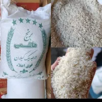 پخش عمده برنج هاشمی گیلان و چای شهرزاد