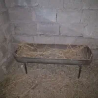 آخور گوسفند